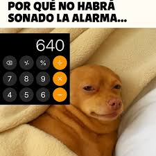 Jorge Gamboa (@jorgealfredo.gamboapacheco) • Facebook