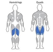 Pin On Exercises