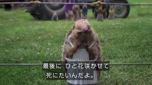 G123プラットフォームは2020年3月1日よりお使いのブラウザ internet explorerのサポートを終了いたしました。 microsoft edge、google chrome、firefoxなどのブラウザをご利用ください。 Kh9rmlc T94grm