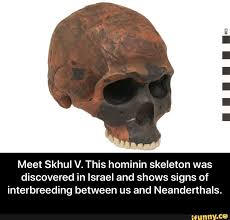 Meet Skhul V This Hominin Skeleton Was Discovered In Israel And Shows Signs Of Interbreeding Between Us And Neanderthals Meet Skhul V This Hominin Skeleton Memes Neanderthal Funny Animal Memes