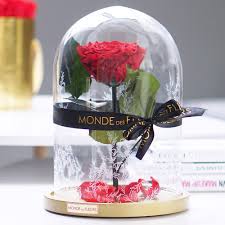 Ob im interior oder als geschenk, die rosenkuppel ist ein highlight! Infinity Rose La Belle Rose Von Die Schone Und Das Biest