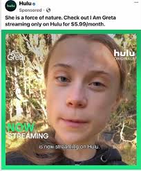 Flerf scammer blocked after posting and running