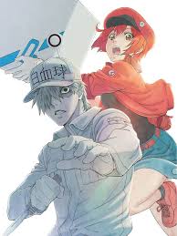 Cells At Work Blu Ray Anime Release Anime Anime Shows