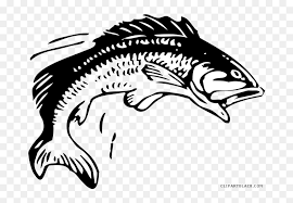 It is fun turning cursive letters into cartoon drawings. Transparent Fry Clipart Fish Jumping Out Of Water Drawing Hd Png Download Vhv