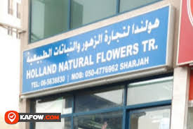 Send flowers to holland for any kind of occasion. Ù‡ÙˆÙ„Ù†Ø¯Ø§ ØªØ¬Ø§Ø±Ø© Ø²Ù‡ÙˆØ± Ø·Ø¨ÙŠØ¹ÙŠØ© Ø° Ù… Ù… Ø¯Ù„ÙŠÙ„ Ø§Ù„Ø¥Ù…Ø§Ø±Ø§Øª ÙƒÙÙˆ Kafow Uae Guide