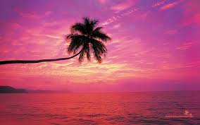 Choose from a curated selection of sunset background galleries for your mobile and desktop screens. Pink Beach Sunset Wallpaper Hi Src Colorful Sunsets 1920x1200 Download Hd Wallpaper Wallpapertip