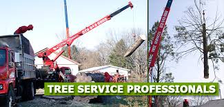 Check spelling or type a new query. Affordable Tree Services Long Valley Nj