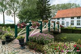 Willy naessens swimming pools bouwt het zwembad in je tuin tot op de centimeter nauwkeurig! Nazomer Tip Blik Op De Paardenstoeterij Van Willy Naessens Nuus