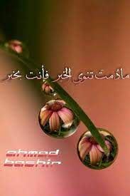 مادمت تنوي الخير فانت بخير jewelry