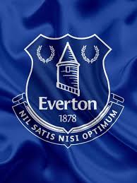 They are a way to encourage users to keep editing and rank up by earning points on the leaderboard. Pin On Evertonfc