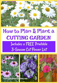 Pin On Flowers Garden