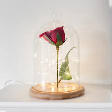 Diy Enchanted Rose Bell Jar The Bell Jar Fairy Lights Enchanted Rose
