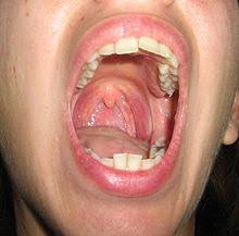 Ecoute avec nous.quelle est la traduction correcte du mot bouche du français vers l'anglais? Bouche Wikipedia