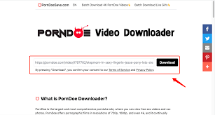 PornDoe Downloader: Easiest way to Download PornDoe Videos from PC, iPhone,  Android for Free