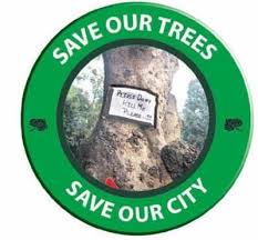 How much do tree service owners make? Bengaluru Scofflaw Bbmp Twisted Law Over Several Years To Make Tree Cutting Spree Easy