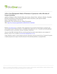 Image result for Fuirena welwitschii