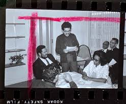 Image result for Mohria marginalis