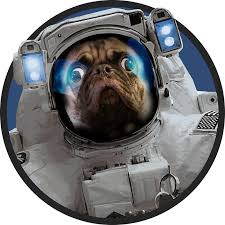 Astronaut Pug Pugs Funny Animals Astronaut