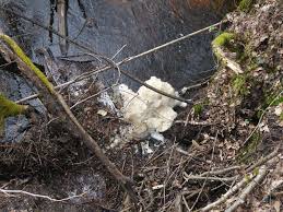 We did not find results for: Cela S Est Passe En 2017 Saint Medard En Jalles 33 Airbus Safran Launcher Et Roxel Condamnes Pour Pollution Suite A Un Incendie Declenche Le 6 Juillet 2015 Le Blog De Naturjalles Over Blog Com