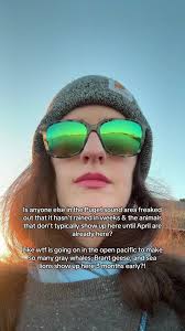 Unusual Wildlife Arrivals in Puget Sound Area