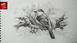 How To Draw A Bird With Pencil Drawing Shading Shading Drawing Bird Drawings Pencil Art Drawings