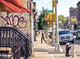 Understanding who is accountable for pest control when renting is a common problem for both tenants and landlords alike. What Is My Landlord Responsible For Streeteasy