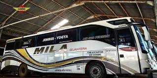 Dengan konsep wisata alam yang mengusung tema pendidikan, taman botani di jember ini mencoba mengajak masyarakat dan wisatawan yang datang untuk. Jadwal Bus Mila Rute Banyuwangi Yogyakarta 2020 Halaman All Kompas Com