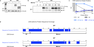Our currency rankings show that the most popular romanian leu exchange rate is the ron to eur rate. A Slowly Cleaved Viral Signal Peptide Acts As A Protein Integral Immune Evasion Domain Nature Communications