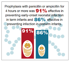 Image result for Group B Streptococcus Prophylaxis
