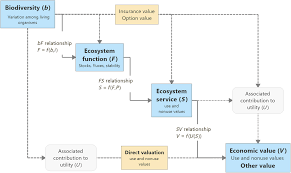 The physical setting 2018 answers. On The Functional Relationship Between Biodiversity And Economic Value Science Advances