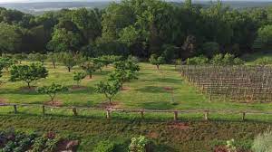 The most extensive apple orchard area is in eastern washington state, with a lesser but significant apple orchard area in most of upstate new york. Monticello S South Orchard Thomas Jefferson S Monticello