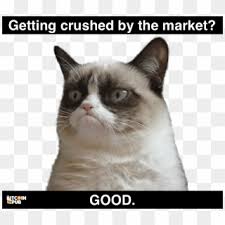 Transparent Sad Cat Meme Png Random Images SluchaÑ˜ne Slike Free sad cat transparent, download free clip art, free. transparent sad cat meme png random