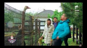 Un nou sezon poftiți pe la noi va începe în această vară la antena 1. Poftiti Pe La Noi 18 Decembrie 2017 Partea 8 Hd By Allovertheworld 2018