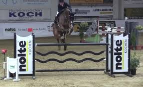 @taronegerton is elton john in #rocketman, the incredible story of a pop culture icon. Aktuelle Pferde Sportpferde Gierlich