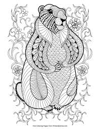 Coloring pages for kids groundhog or woodchuck coloring pages. Pin On Groundhog Day