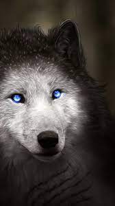 Wolf Wallpaper Hd Wallpaper 4k Hd Wallpaper Wallpaper