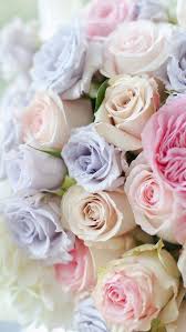 We did not find results for: Oboi Iphone Wallpapers Beautiful Flowers Pastel Flowers Pretty Flowers