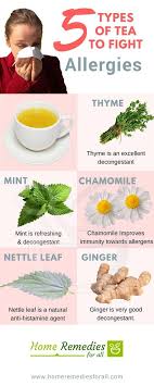 One Or More Of The 5 Teas For Allergies Will Help You To Get Rid Of The Coughing Sne Allergy Remedies For Kids Allergy Remedies Natural Remedies For Allergies