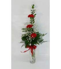 From salt lake city to the towns of central and st. Red Carnation Vase Draper Ut Florist