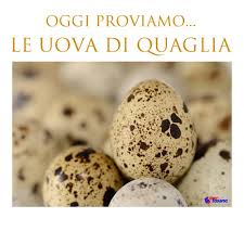 5) proseguite la cottura per una mezzoretta. Oggi Proviamo Le Uova Di Quaglia Supermercati Tosano