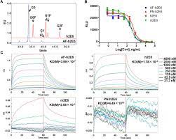Development Of An Antibody Dependent Cellular Cytotoxicity Reporter Assay For Measuring Anti Middle East Respiratory Syndrome Antibody Bioactivity Scientific Reports