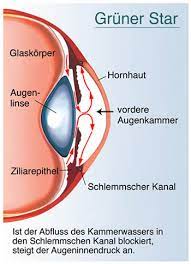 Gruner Star Auge Online