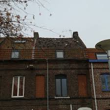 Pigeon Vole Vole Vole Mais Qu A Donc Cette Maison Pour Attirer Autant De Pigeons Cabinet Lucarre Diagnosticsimmobiliers N Roubaix Demolition Cabinet