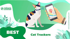 To help you find the best cat gps tracker, we've compiled this handy buying guide. The 5 Best Cat Trackers We Re All About Pets