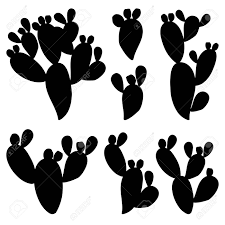 Illustration hand drawn sketch of opuntia macrocentra cactus, black spined pricklypear or purple pricklypear. Set Of Opuntia Or Prickly Pear Cactus Silhouettes Isolated Royalty Free Cliparts Vectors And Stock Illustration Image 139731223