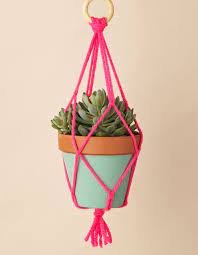 Don't let the lack of a plant hanger keep you from suspending your favorite plants from your porch, arbor or ceiling. Pinterest