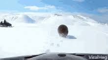Updated daily, for more funny memes check our homepage. Snowmobile Gifs Tenor