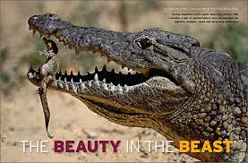 What Animals Live In The Nile River? - Worldatlas