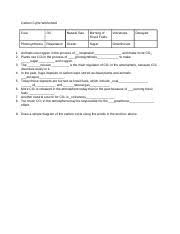 Students apply what they have learned about the processes of photosynthesis and respiration to label parts of the graphic an answer questions. Carbon Cycle Worksheet Docx Carbon Cycle Worksheet Coal Oil Natural Gas Burning Of Fossil Fuels Volcanoes Photosynthesis Respiration Ocean Sugar Course Hero
