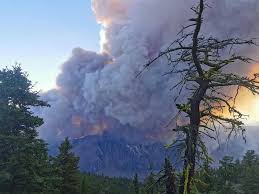 1 to find the home fully engulfed. Update Evacuation Order Issued For Pavilion Lake Area Due To Mckay Creek Fire Sicamous Eagle Valley News